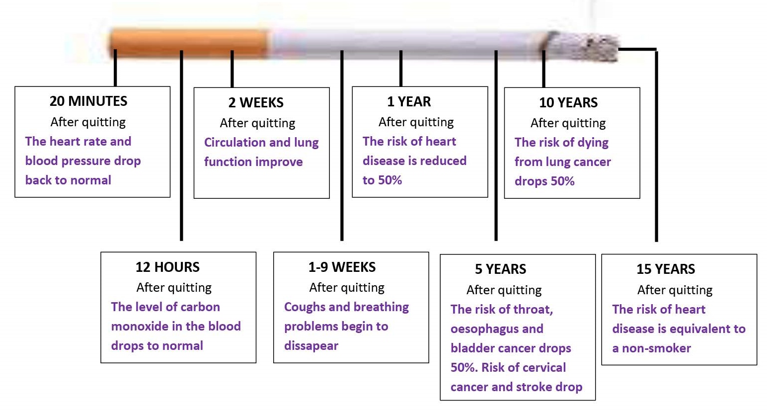 Nhs Stop Smoking Chart
